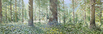 Sternwald 8, 2021, Öl auf Leinwand, 40 x 120 cm